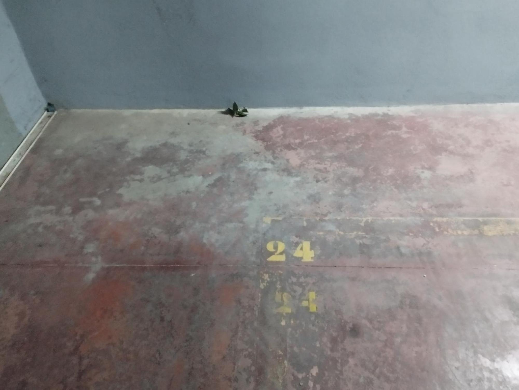 Appartement Barcelo 21, Parking On Request, Atico With Terrace & Studio With Patio, Center, Quite Neighborhood, Bc